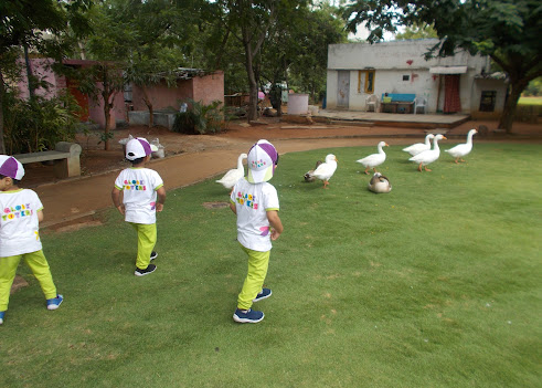 Birla Open Minds Preschool, Gopanpally, Hyderabad — photo 7
