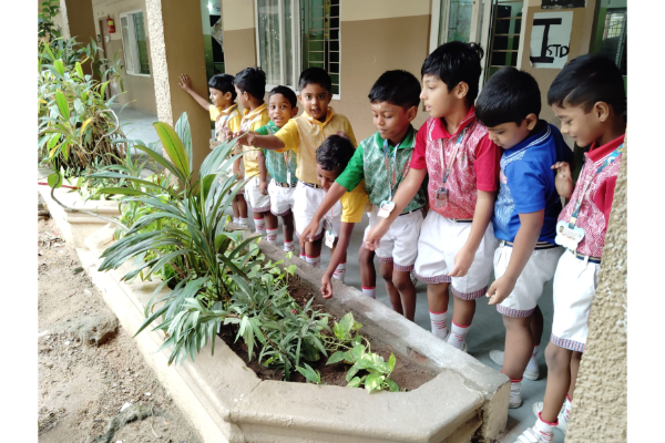 Shri Krishnaswamy Vidyashram, Anna Nagar West — photo 12