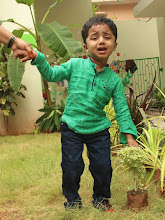 Birla Open Minds Preschool, Mogalrajapuram, Vijayawada — photo 3