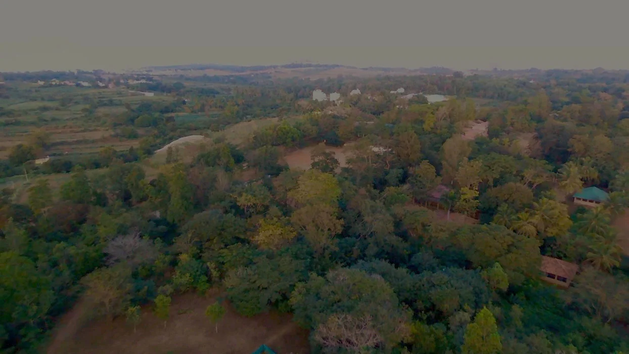 The Valley School — photo 3