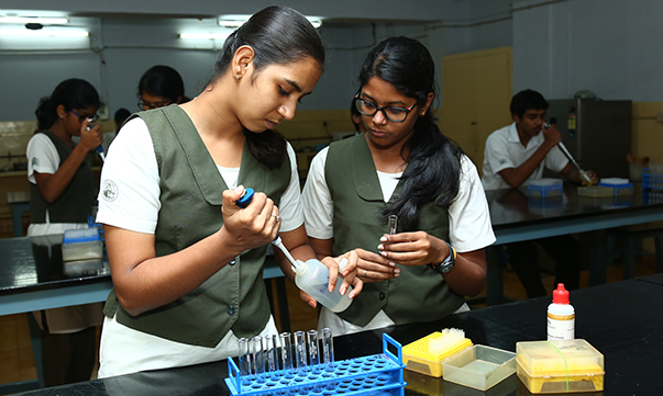 Vidya Mandir — photo 9