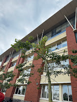 Smart Wonder School, Mohali — photo 2