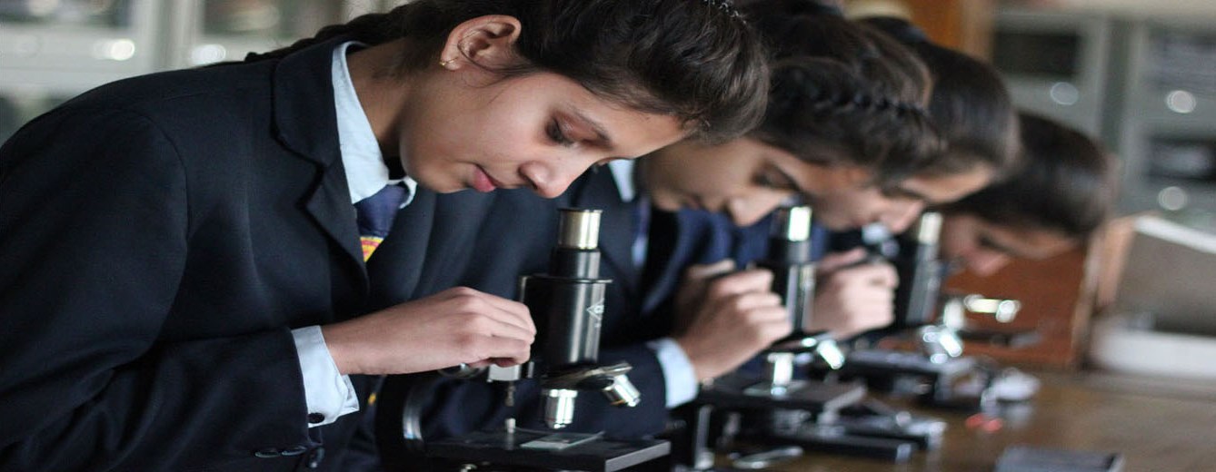 The Vivekanand School