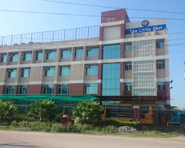 The Little Shri School