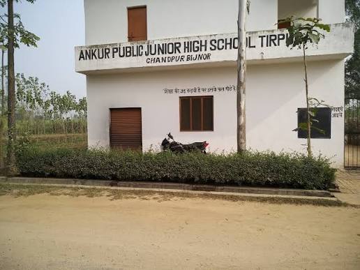 Ankur Public School
