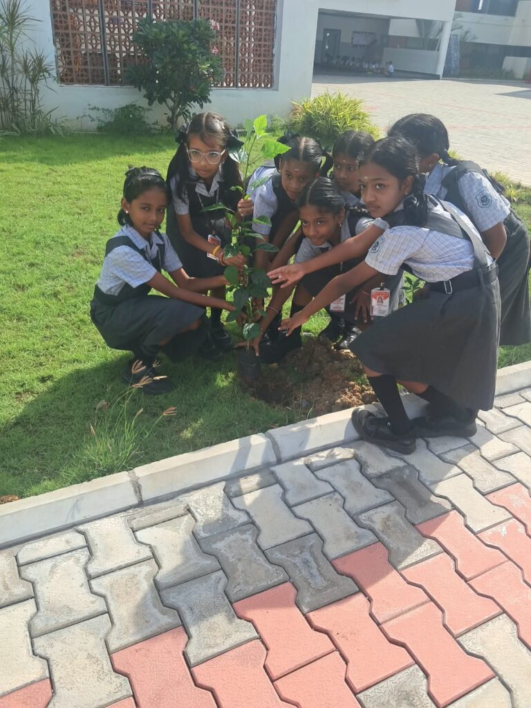D.A.V. SM Fomra School — photo 15