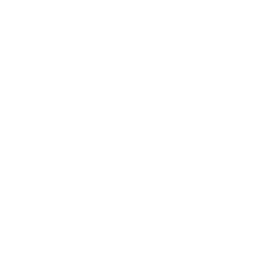 Vidhya Niketan Public School, Puliakulam Campus logo