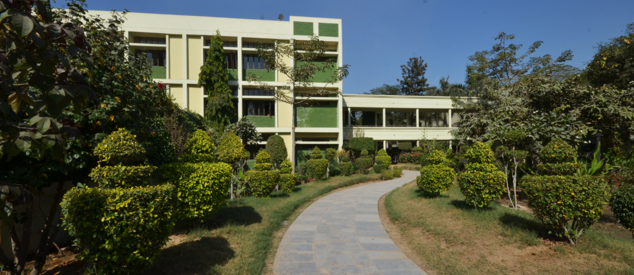 O P Jindal Modern School, Hisar — photo 4