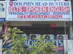 Dolphin Head Hunters, Sector 34 Chandigarh