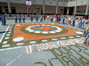Bloom Public School, Pratap Vihar — photo 6
