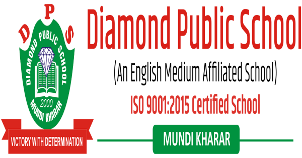 Diamond Public School, Mundi Kharar logo