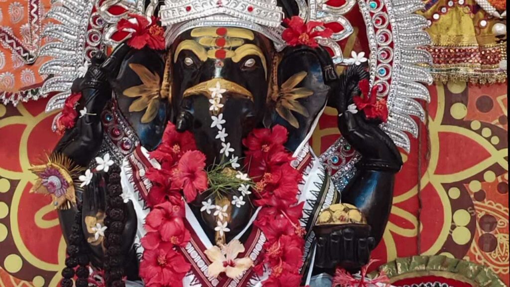 Shri Gurukulam — photo 10