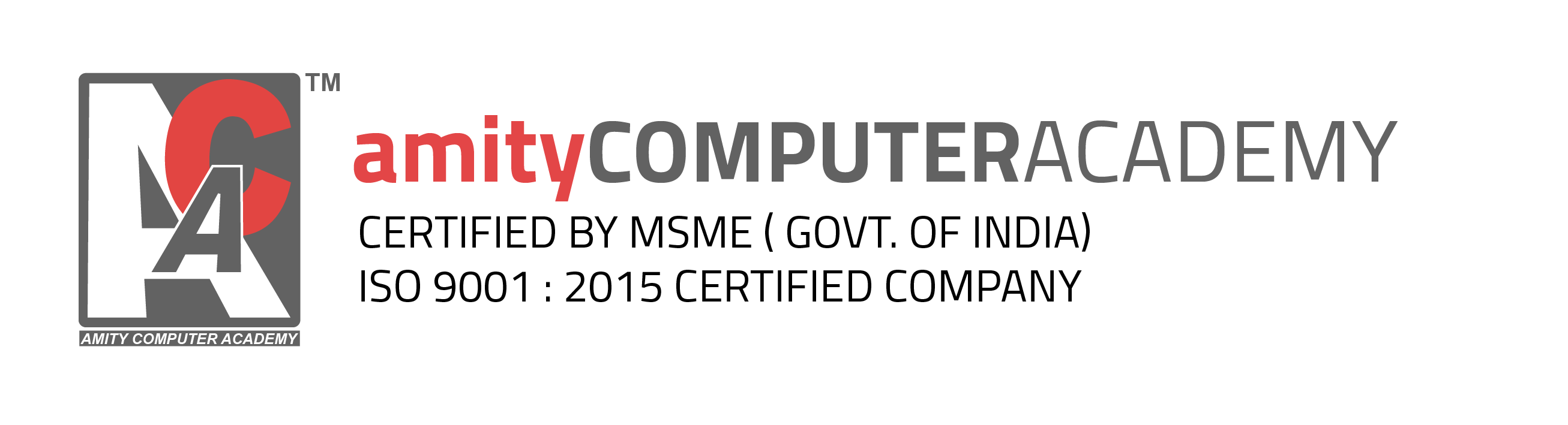 Amity Computer Academy logo