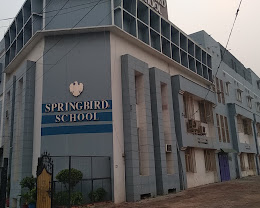 Springbird School, Sonipat