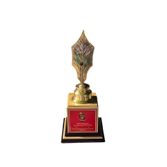 ABP Ananda Shiksha Samman — held by Webskitters Academy