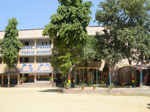 Dolphin Public School — photo 7