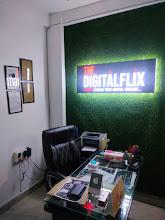 The DigitalFlix — photo 6