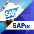 SAP SD Course — held by ICA Edu Skills