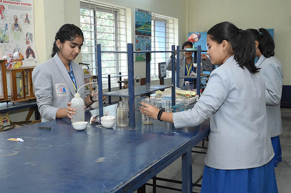 Blossoms School, Bharatpur — photo 5