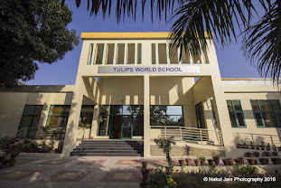 Delhi Global Senior School — photo 3