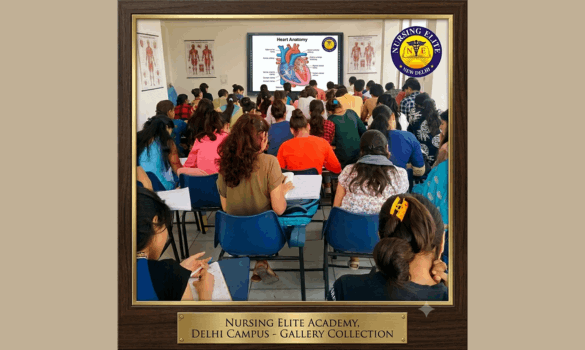 Nursing Elite — photo 3