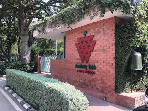 Strawberry Fields High School — photo 4