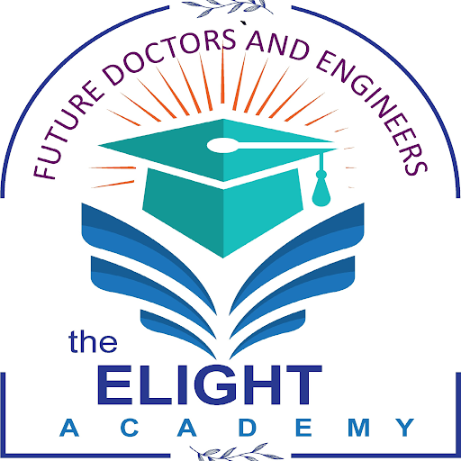 The Elight Academy, pune logo