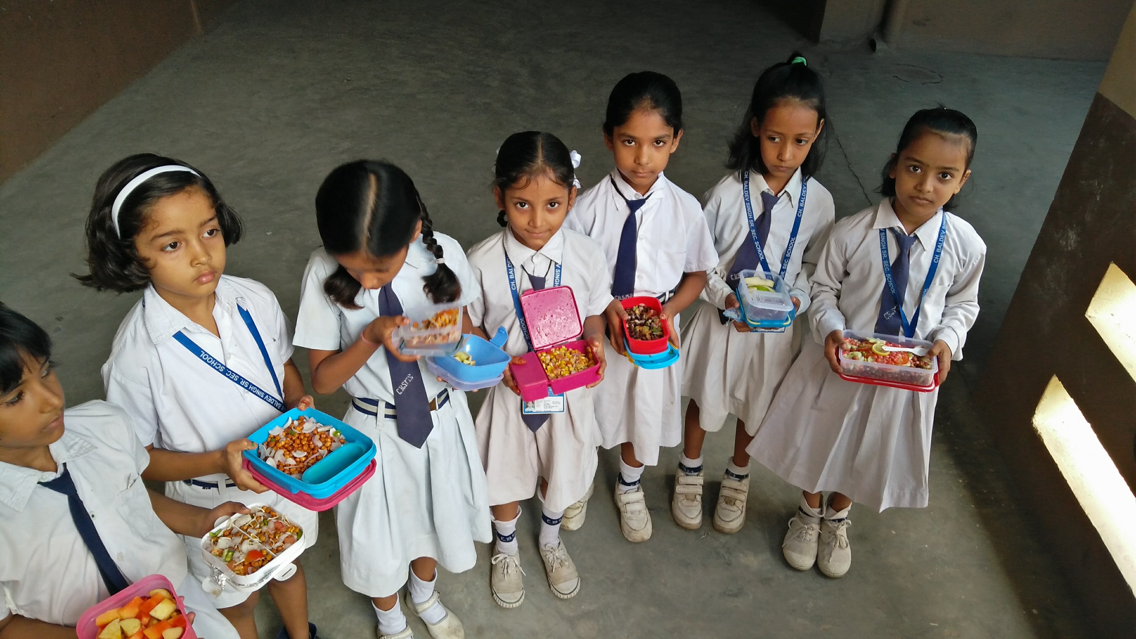 Ch. Baldev Singh Model School Delhi — photo 10