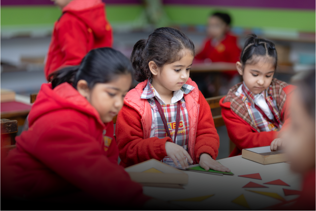ABC Montessori, Patiala