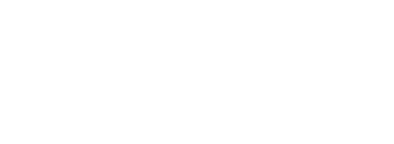 Neded Institute, Rohtak logo