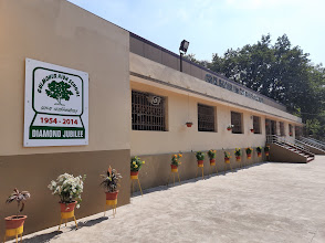 Gulmohur School