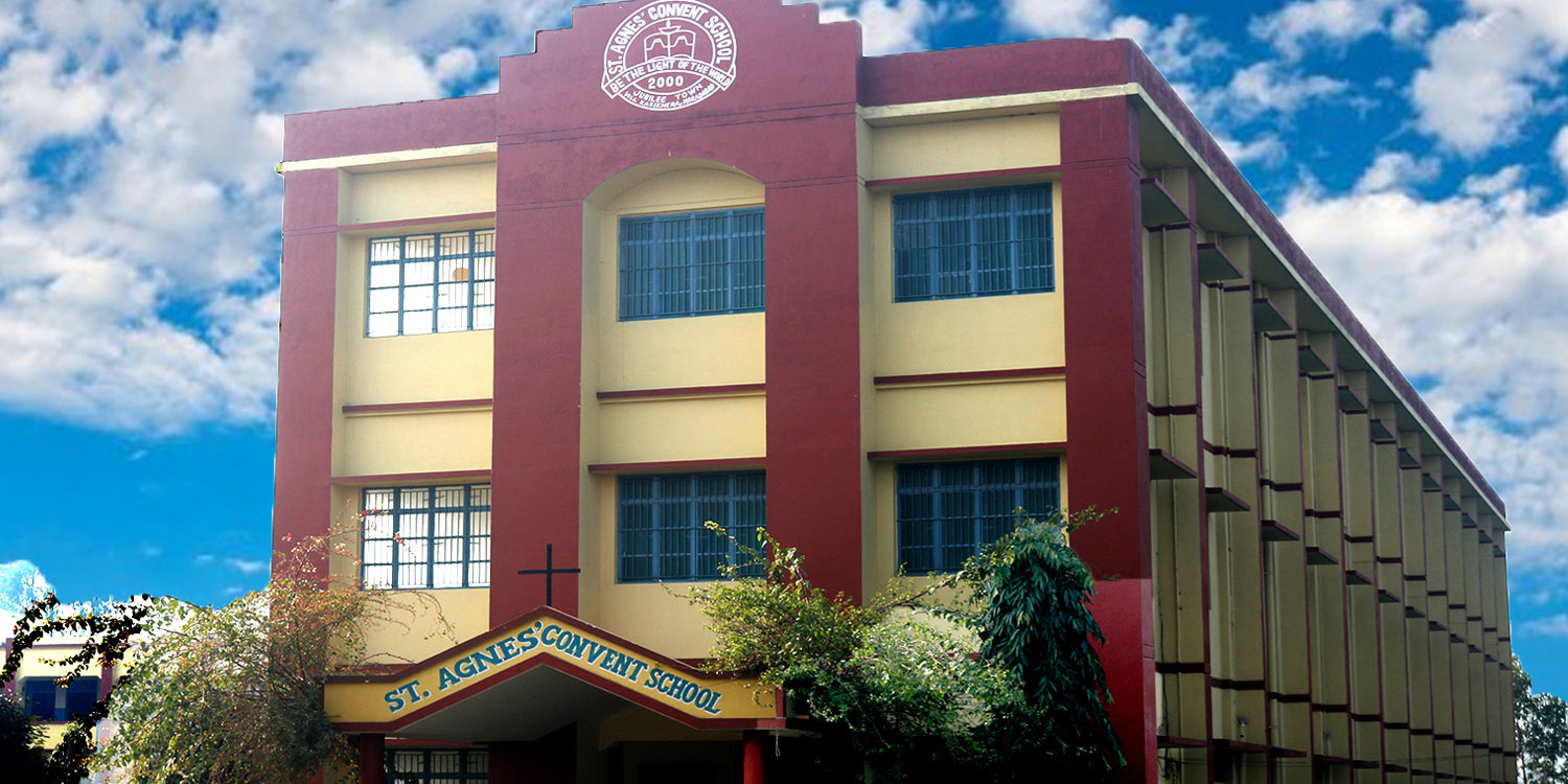 St. Anges' Convent School, Moradabad — photo 2