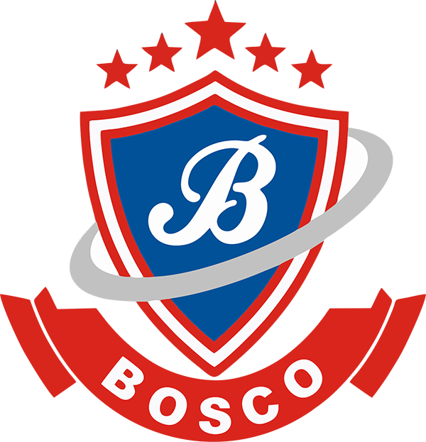 Bosco Public Senior Secondary School,  Delhi logo