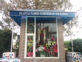 Little Flower Convent School, Sector 14 Panchkula — photo 4