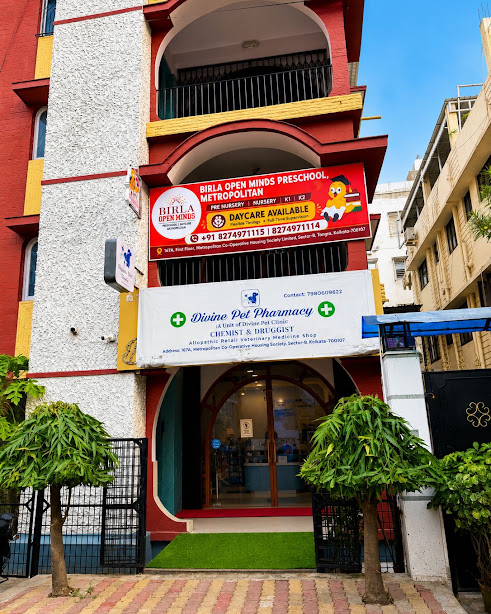 Birla Open Minds Preschool, Indra Nagar
