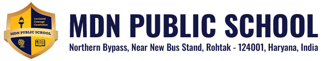 MDN Public School, Rohtak logo