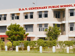 Dav Centenary Public School, Rohtak — photo 3