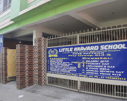 Little Harvard School