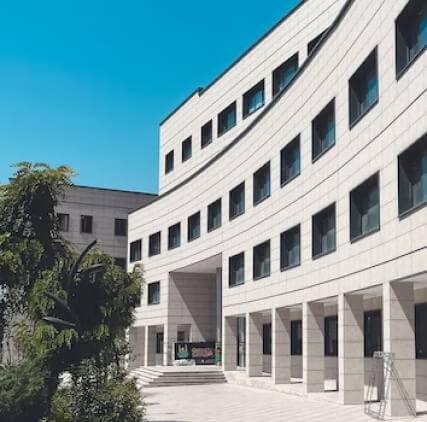 Andhra Education Society Delhi