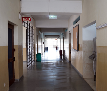 New Public School — photo 10