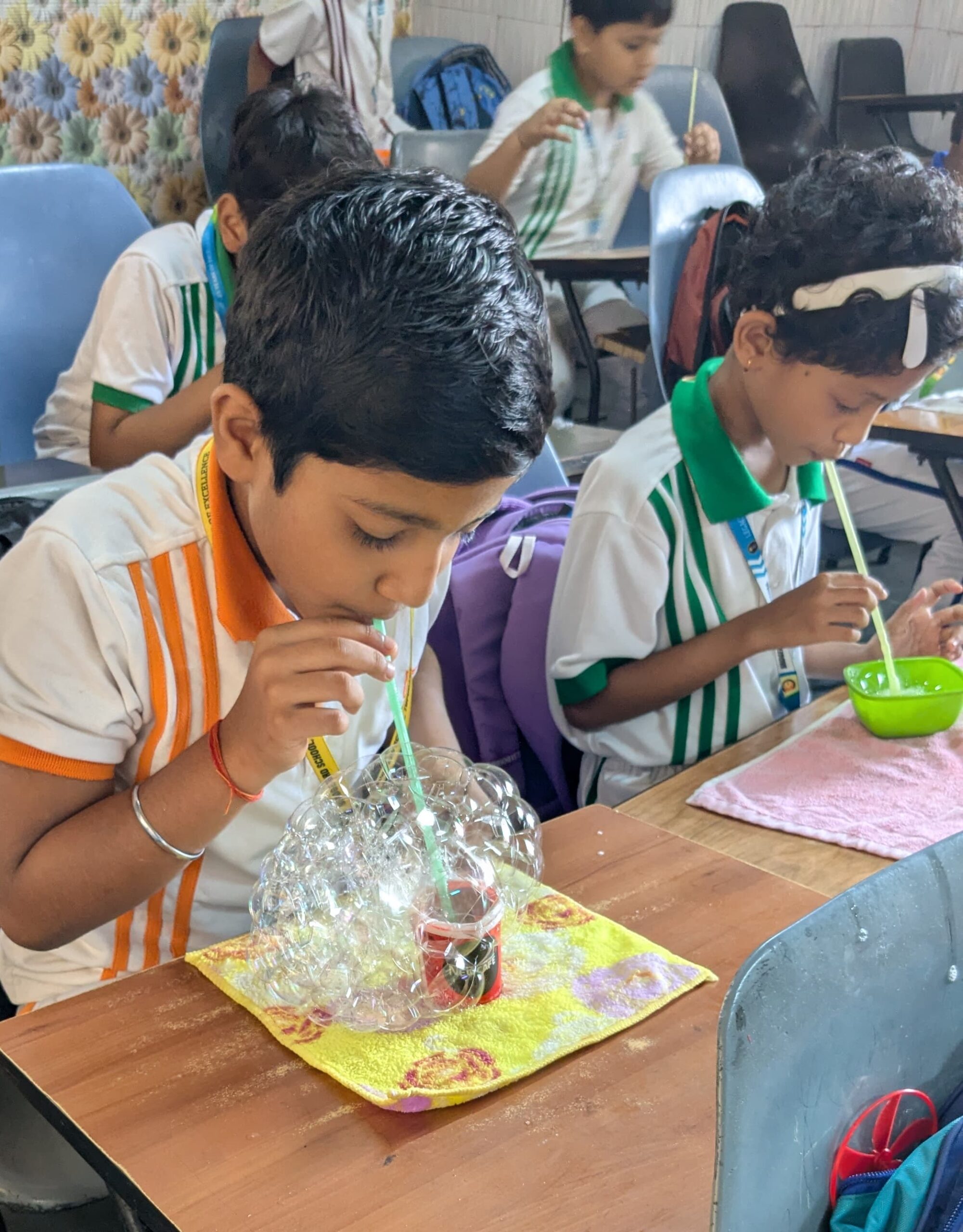 Bridgeford School, Tupudana — photo 7