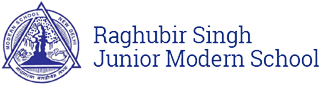 Raghubir Singh Junior Modern School Delhi logo