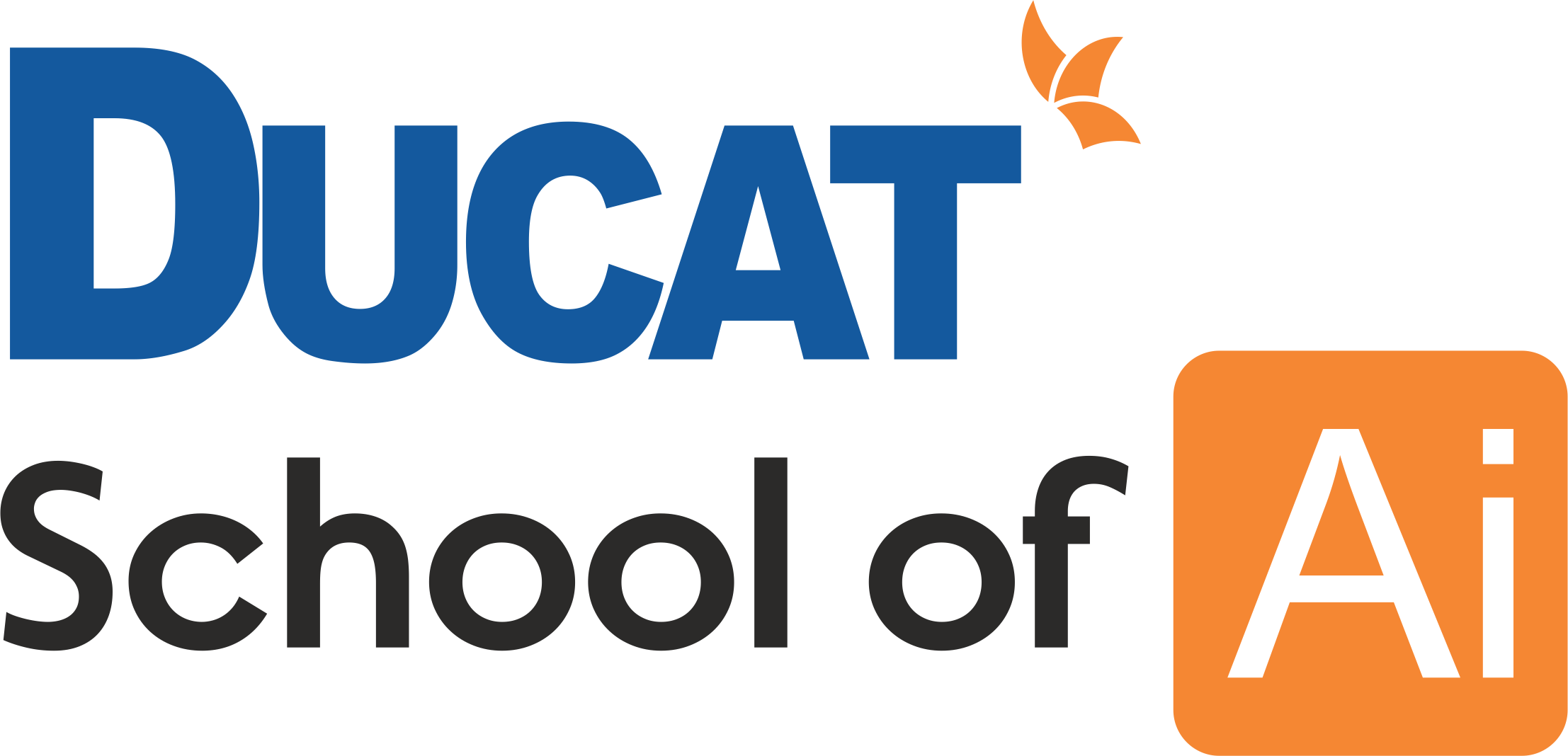 Ducat India, Noida logo