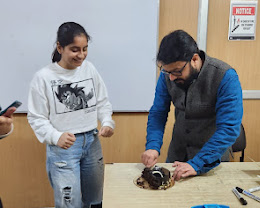 Career Launcher, Raj Nagar, Ghaziabad — photo 4