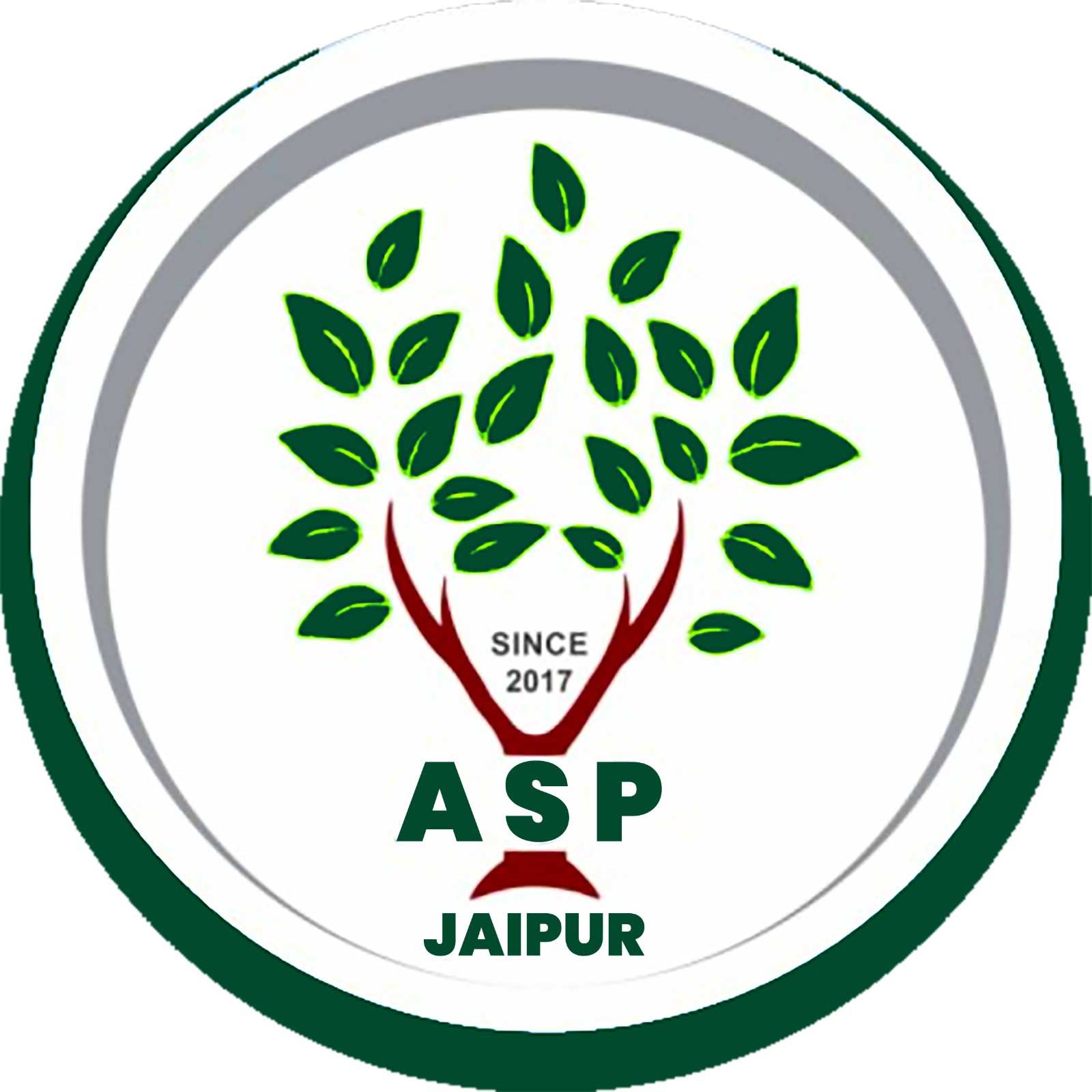 ASP Coaching Jaipur logo
