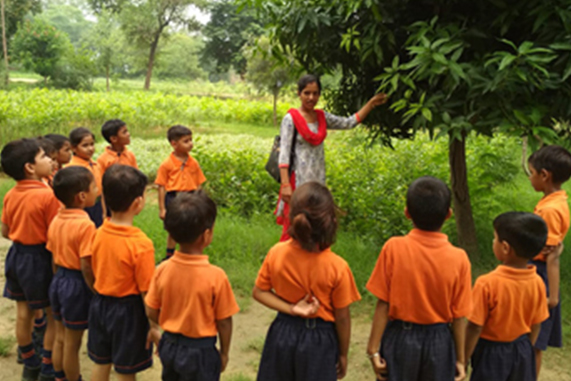 Suraj School, Sector 56, Gurugram — photo 9
