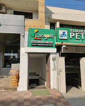 Langoik German language coaching institute, jaipur