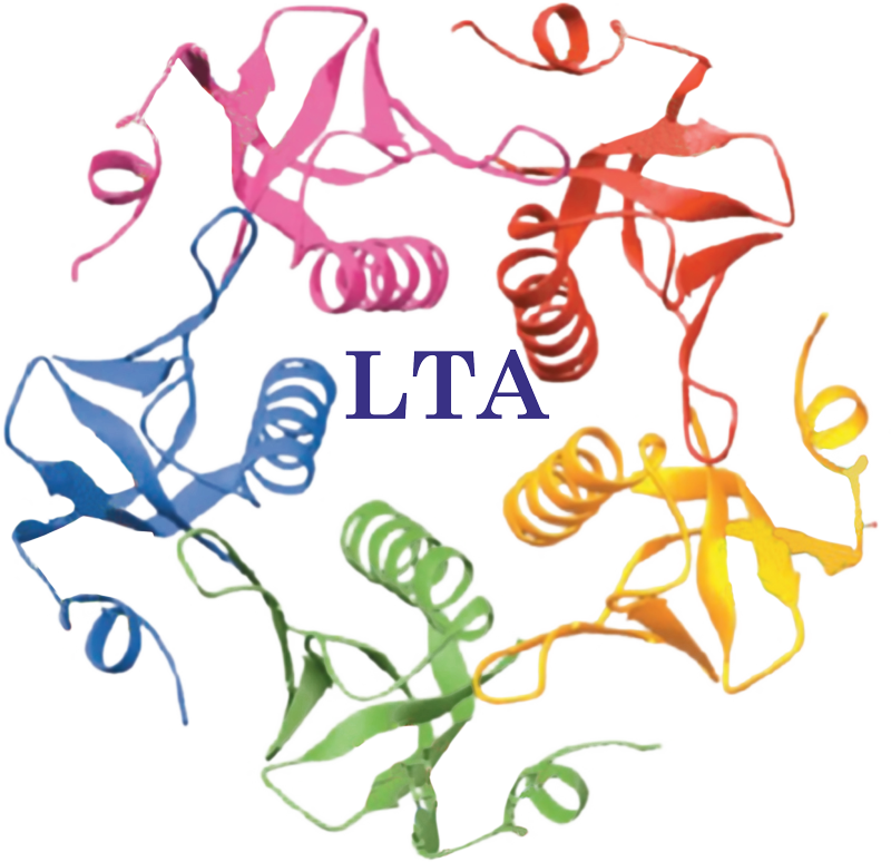 Let's Talk Academy, Gopal Pura Mode, Jaipur logo