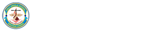 Holy Angels' School, Shalimar Garden logo