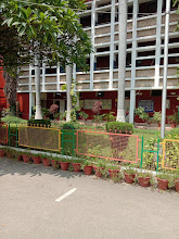 Government Model Senior Secondary School — photo 4